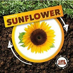 Life Cycle of a Sunflower, Hardback - Kirsty Holmes imagine