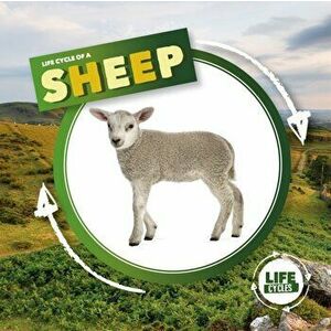 Life Cycle of a Sheep, Hardback - Kirsty Holmes imagine