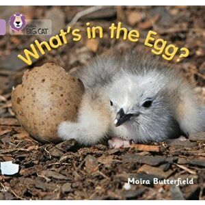 What's in the Egg?. Band 00/Lilac, Paperback - Moira Butterfield imagine