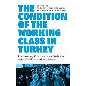 The Condition of the Working Class in Turkey. Labour under Neoliberal Authoritarianism, Paperback - *** imagine