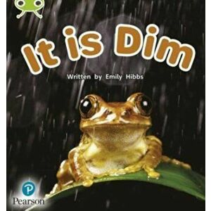 Bug Club Phonics Non-Fiction Early Years and Reception Phase 2 Unit 2 It is Dim, Paperback - Emily Hibbs imagine