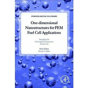One-dimensional Nanostructures for PEM Fuel Cell Applications, Paperback - *** imagine