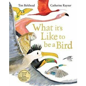 What it's Like to be a Bird, Hardback - Tim Birkhead imagine