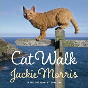 Cat Walk, Hardback - Jackie Morris imagine