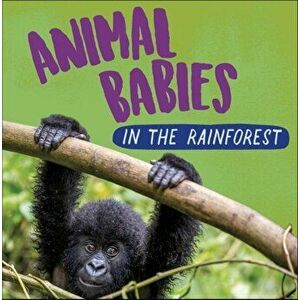 Animal Babies: In the Rainforest, Hardback - Sarah Ridley imagine