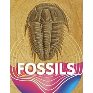 Fossils, Hardback - Keli Sipperley imagine