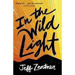 In the Wild Light, Paperback - Jeff Zentner imagine