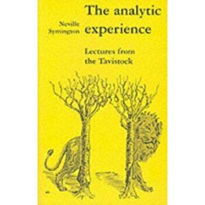 The Analytic Experience, Paperback - Neville Symington imagine