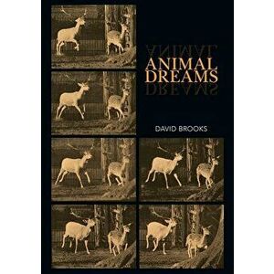 Animal Dreams, Paperback imagine