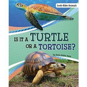 Is It a Turtle or a Tortoise?, Hardcover - Anita Nahta Amin imagine