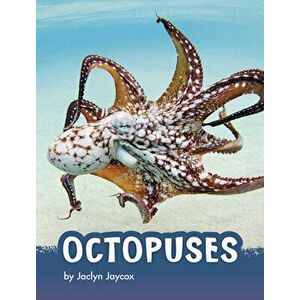 Octopuses, Hardcover - Jaclyn Jaycox imagine