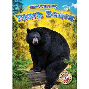 Black Bears, Library Binding - Al Albertson imagine