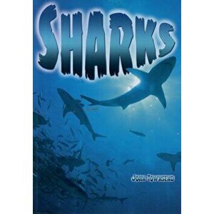 Sharks, Paperback - John Townsend imagine