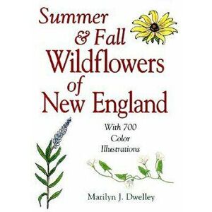 Summer & Fall Wildflowers of New England, Paperback - Marilyn Dwelley imagine