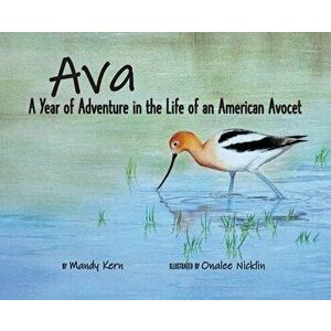 Ava: A Year of Adventure in the Life of an American Avocet, Hardcover - Mandy Kern imagine