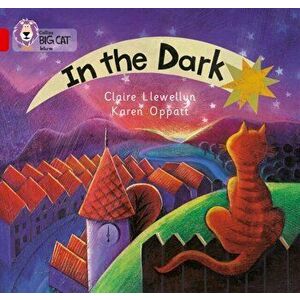 In the Dark. Band 02a/Red a, Paperback - Claire Llewellyn imagine
