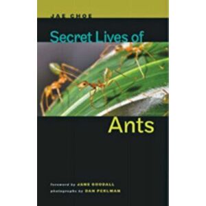 Secret Lives of Ants, Hardback - *** imagine