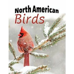 North American Birds, Paperback - Lasting Happiness imagine