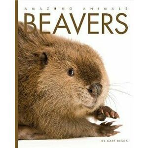 Amazing Animals: Beavers, Paperback - Kate Riggs imagine