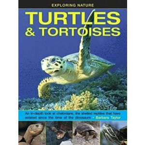 Exploring Nature: Turtles & Tortoises, Hardback - Barbara Taylor imagine