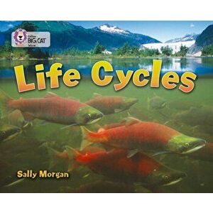 Life Cycles. Band 16/Sapphire, Paperback - Sally Morgan imagine