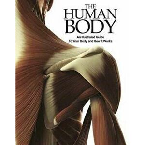 Human Body. An Illustrated Guide To Your Body And How It Works, Paperback - *** imagine
