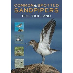 Common and Spotted Sandpipers, Paperback - Phil Holland imagine
