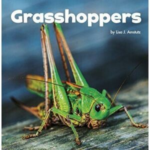 Grasshoppers, Hardback - Lisa J. Amstutz imagine