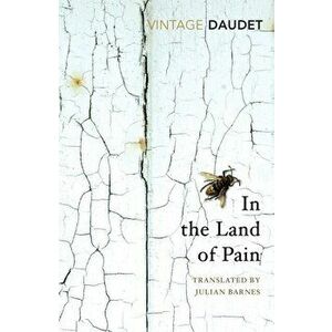 In the Land of Pain, Paperback - Alphonse Daudet imagine