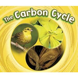 Carbon Cycle, Hardback - Catherine Ipcizade imagine