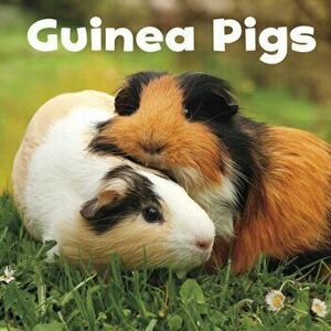 Guinea Pigs, Paperback - Lisa J. Amstutz imagine