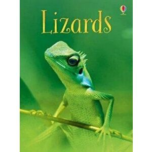 Lizards, Hardback - James Maclaine imagine