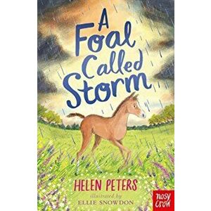 Foal Called Storm, Paperback - Helen Peters imagine