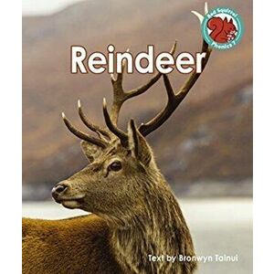 Reindeer, Paperback - *** imagine