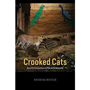 Crooked Cats. Beastly Encounters in the Anthropocene, Paperback - Nayanika Mathur imagine