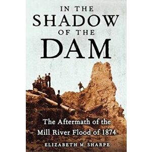 In the Shadow of the Dam: The Aftermath of the Mill River Flood of 1874, Paperback - Elizabeth M. Sharpe imagine
