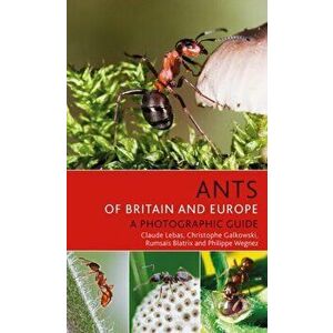 Ants of Britain and Europe, Paperback - Claude Lebas imagine