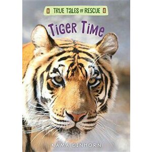 Tiger Time, Hardcover - Kama Einhorn imagine