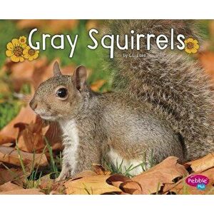 Gray Squirrels, Paperback - G. G. Lake imagine