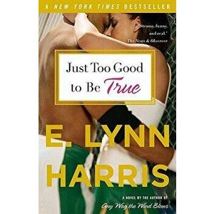 Just Too Good to Be True, Paperback - E. Lynn Harris imagine