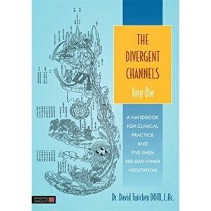 Divergent Channels - Jing Bie. A Handbook for Clinical Practice and Five Shen Nei Dan Inner Meditation, Paperback - David Twicken imagine
