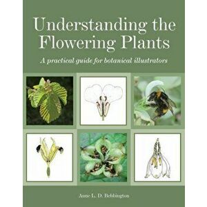 Understanding the Flowering Plants. A Practical Guide for Botanical Illustrators, Paperback - Anne Bebbington imagine