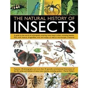 Natural History of Insects, Paperback - Martin Walters imagine