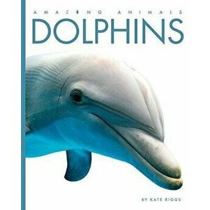 Dolphins, Paperback - Kate Riggs imagine