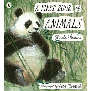 First Book of Animals, Paperback - Nicola Davies imagine