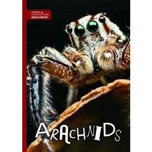 Arachnids, Hardback - Joanna Brundle imagine