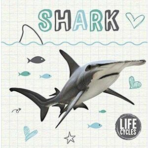 Life Cycle of a Shark, Hardback - Kirsty Holmes imagine