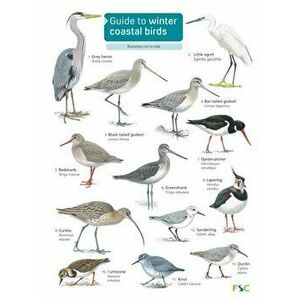 Guide to winter coastal birds, Paperback - Sue Loughran imagine