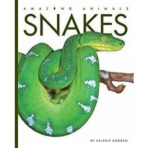 Snakes, Paperback - Valerie Bodden imagine