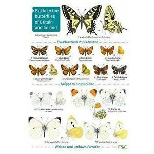 Guide to the butterflies of Britain and Ireland, Paperback - John Bebbington imagine